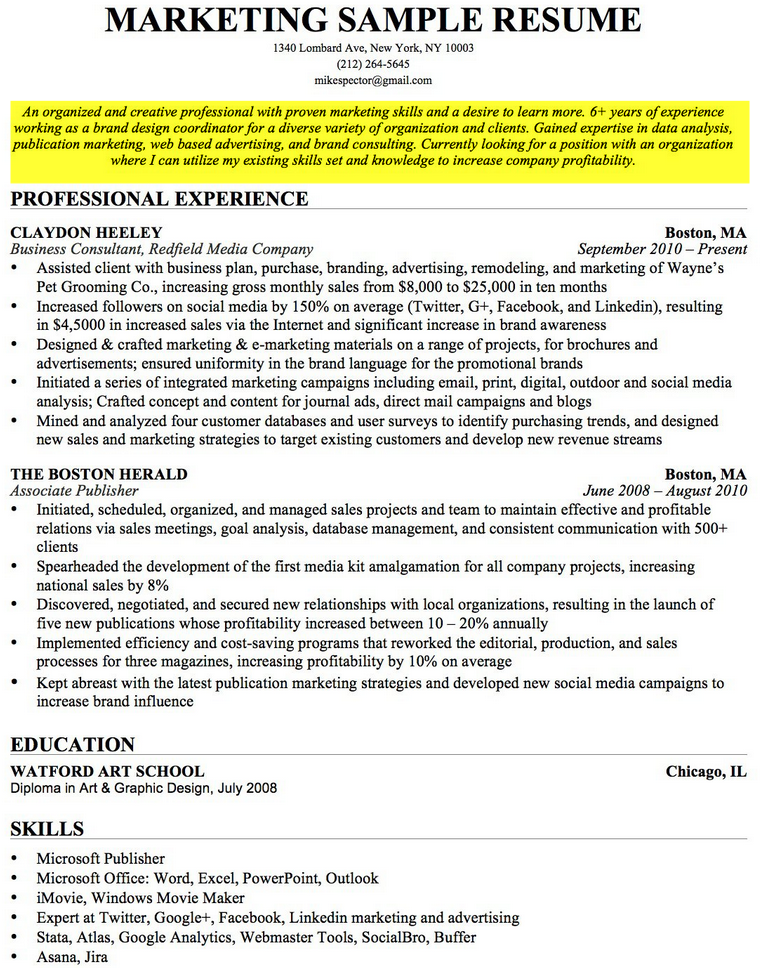 Professional Career Objective Sample 3