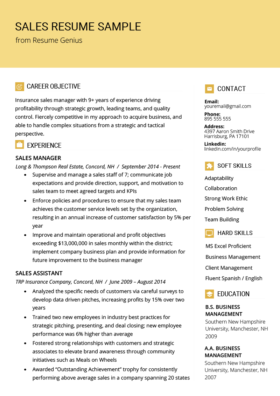 Sales Manager Resume Sample Amp Writing Tips Resume Genius