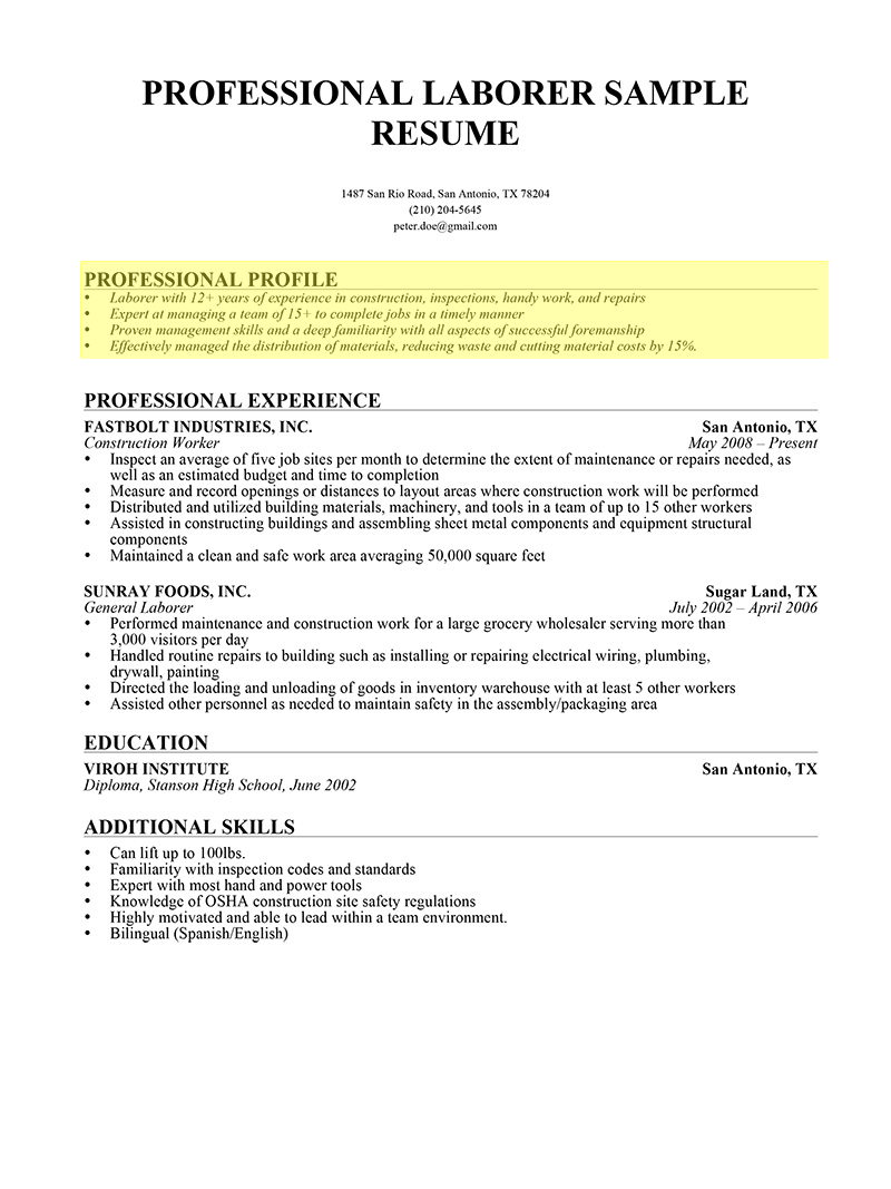 How To Write a Professional Profile  Resume Genius