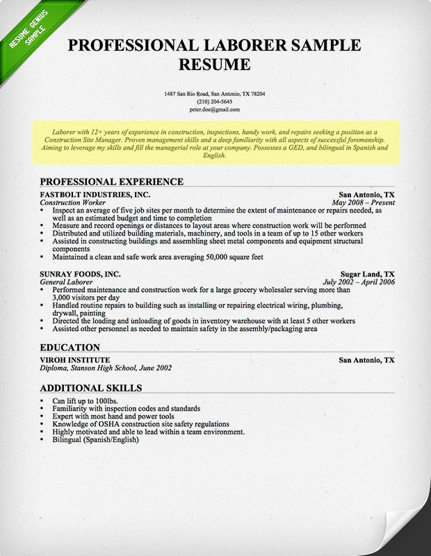 Resume write ups professional