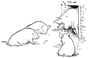 little pig