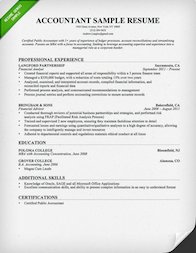 Public accounting resume description