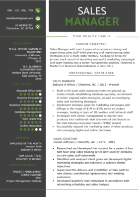 Project Manager Resume Sample Amp Writing Guide Rg