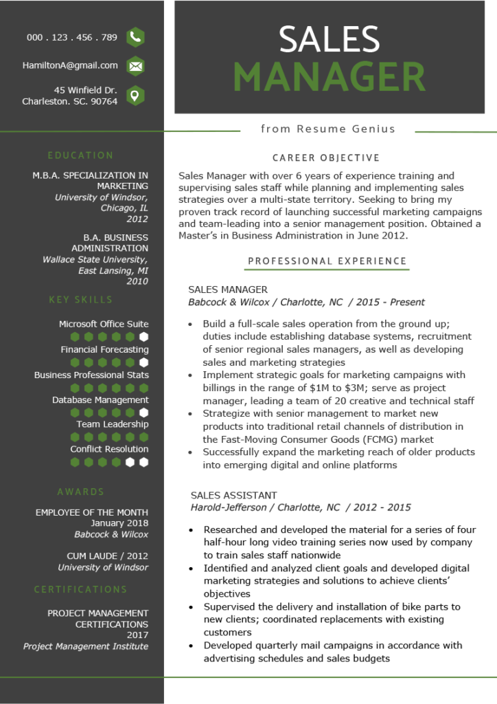 Sales Manager Resume Example Template
