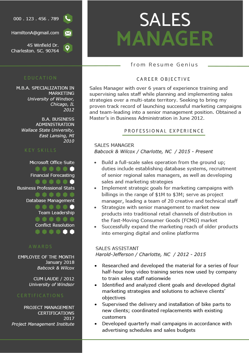 sales job resume example