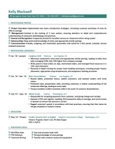 Professional resume formats word