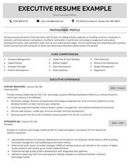 COO Resume Example How To Write