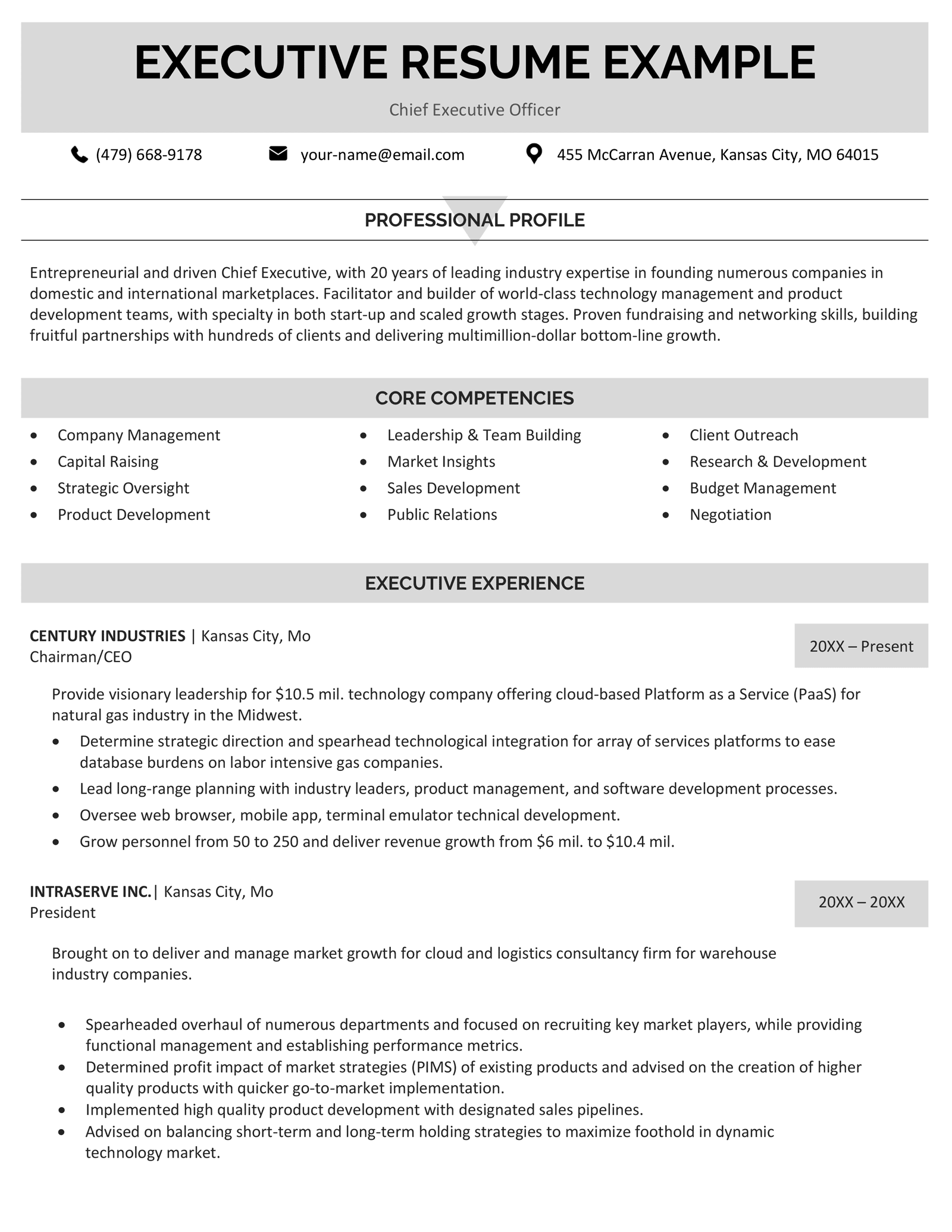 CEO Resume Sample Template