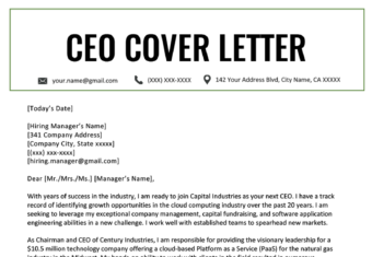 Executive Resume Examples Writing Tips Ceo Cio Cto