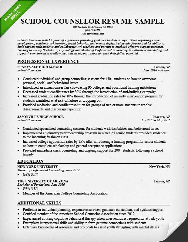 resume profile examples school counselor