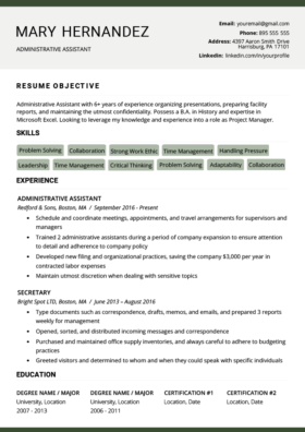 combination resume word template free download