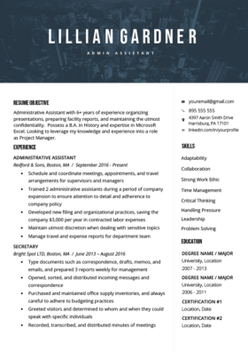 Blue Majestic Resume Template
