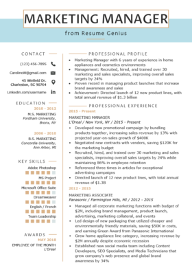 Social Media Resume Example Writing Tips Resume Genius