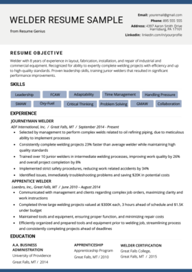 80+ Free Professional Resume Examples by Industry ...