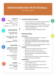 The Functional Resume Template Examples Writing Guide RG