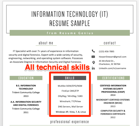 technical skills highlighted on an information technology (IT) resume sample
