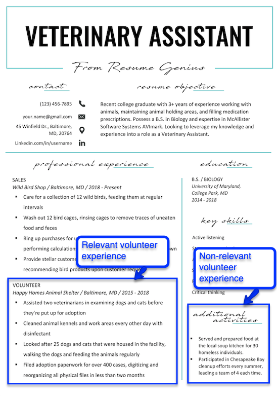 how to put volunteer work on your resume