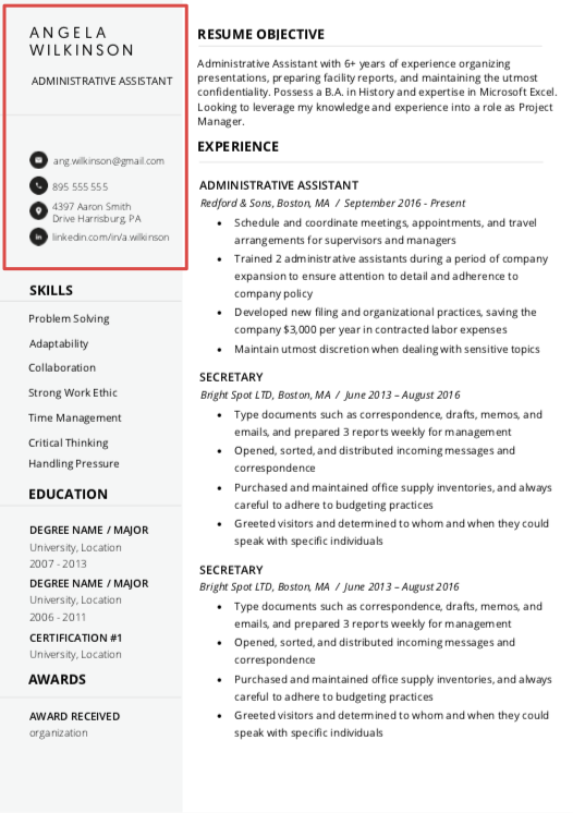 Resume Header 3 Professional Examples