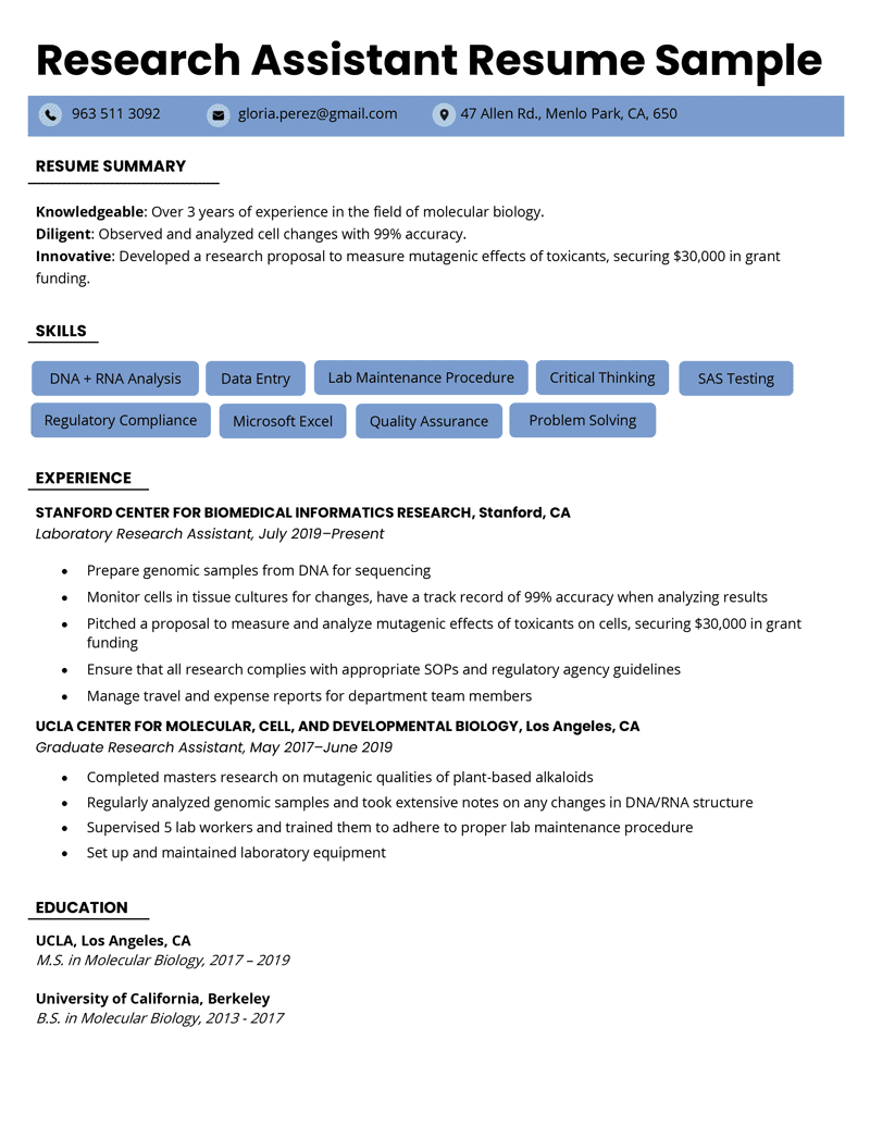 resume format pdf blank   59