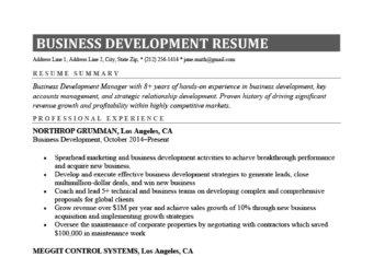 A business development resume example