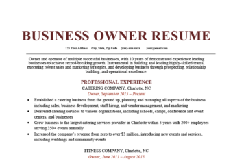 Business Owner Resume Sample
