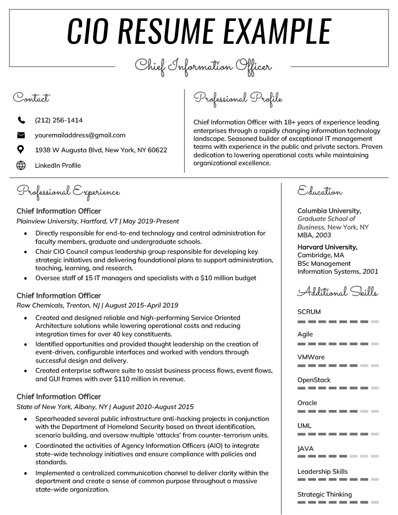 Chief Information Officer CIO Resume Example 3 Tips