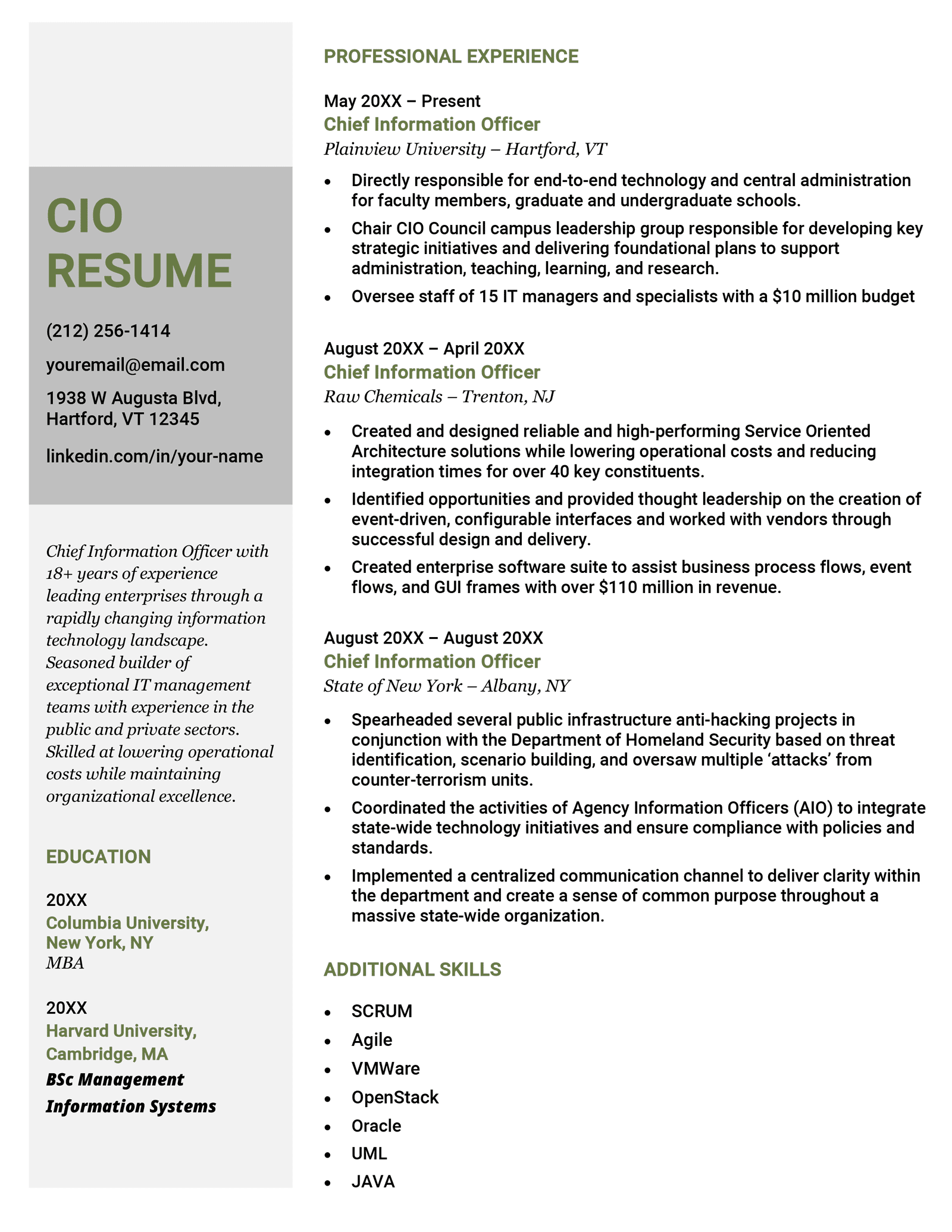 a CIO resume example