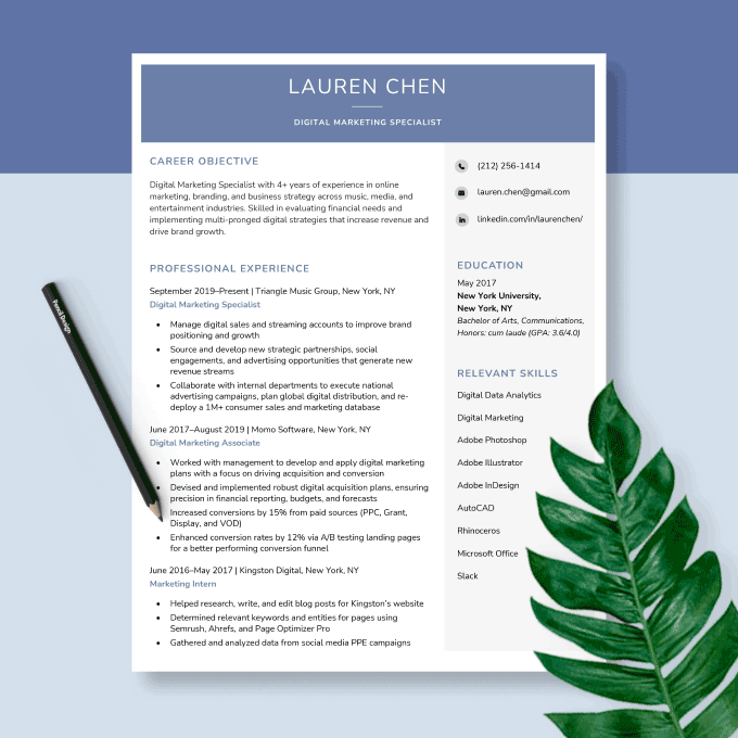 A corporate and confident resume design.