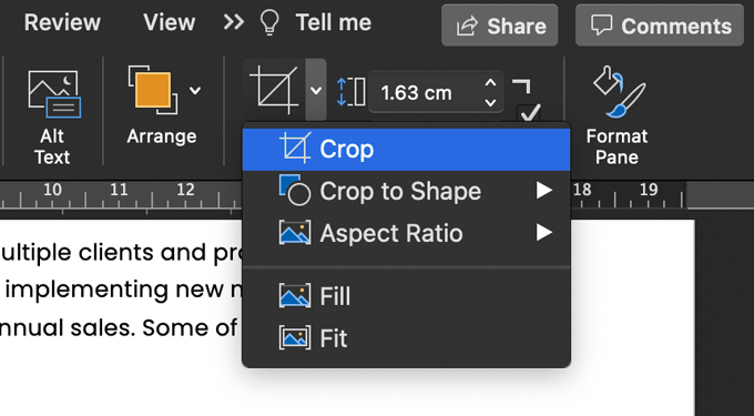 A screenshot of how to crop a picture in microsoft word