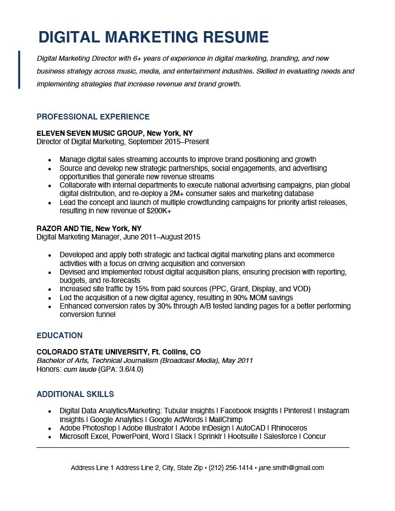 professional summary for resume digital marketing