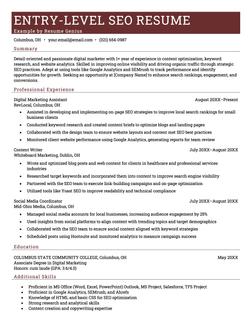 Example of an SEO resume written by a candidate with minimal work experience.