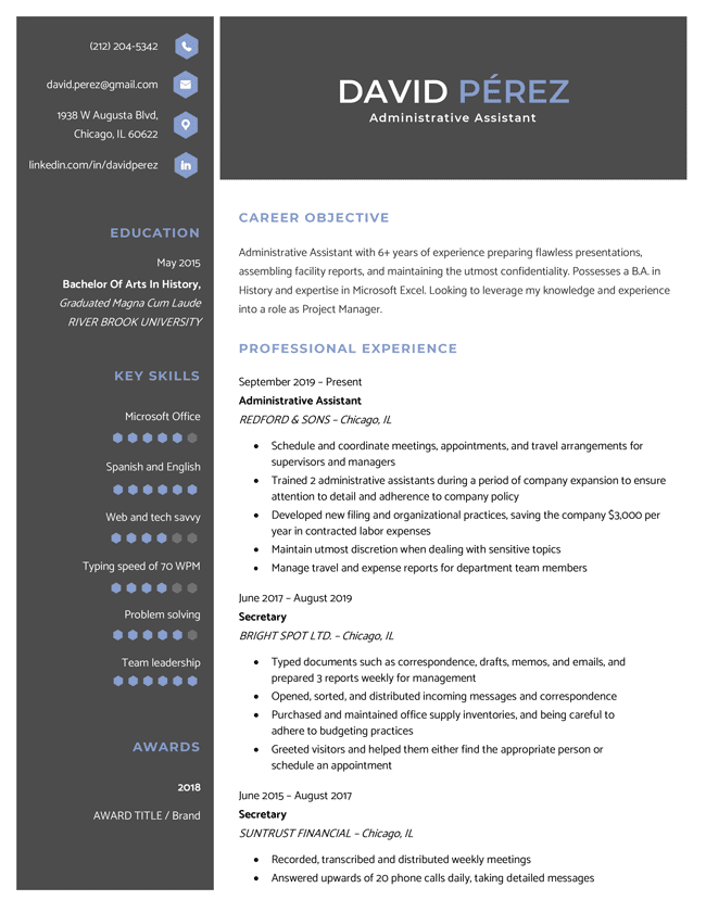 Everest resume template in ice blue