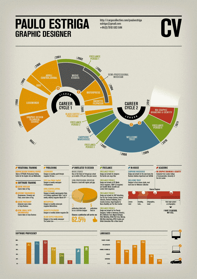 Example of infographics used in an infographic resume.