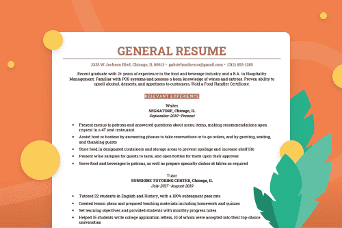 A general resume example on a table next to a potted plant