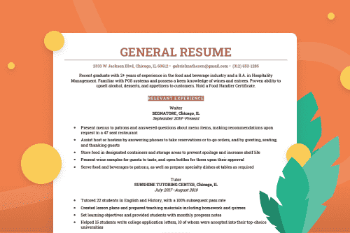 A general resume example with a colorful background and decorative leaves