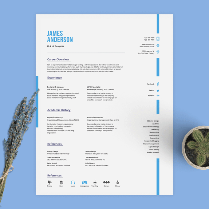 An example of a minimalist resume with infographics