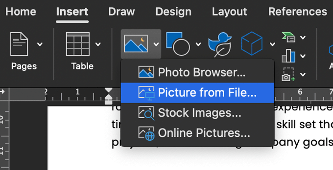 A screenshot of how to insert a picture from file in microsoft word