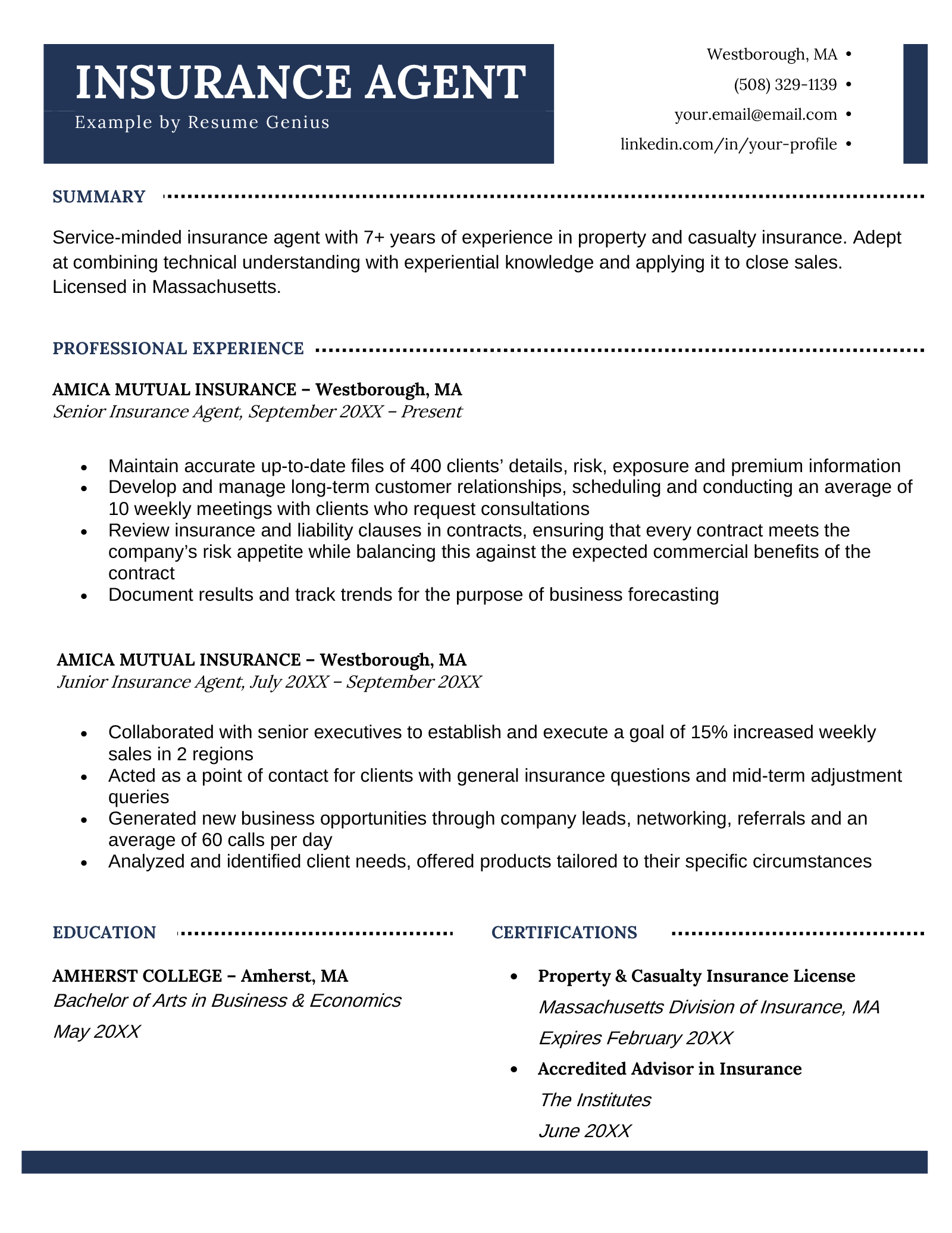 insurance-agent-resume-template