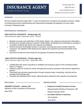 Sample resume for an insurance agent