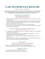 IT Technician Resume Sample