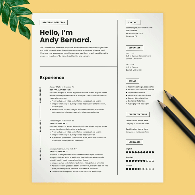 An example of a minimalist resume with a big resume introduction