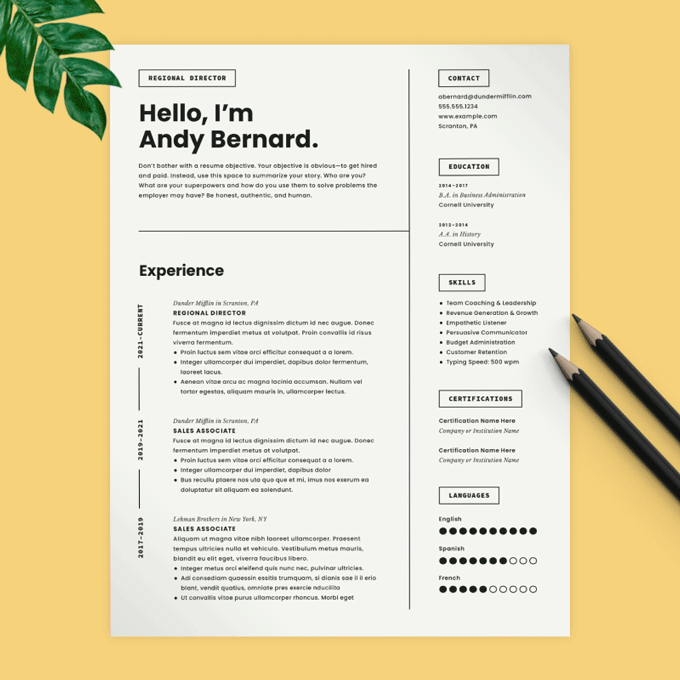 Un exemple de CV minimaliste avec une grande introduction de CV