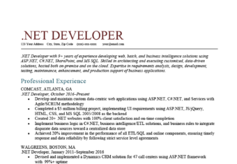 An Example of an .Net Developer Resume