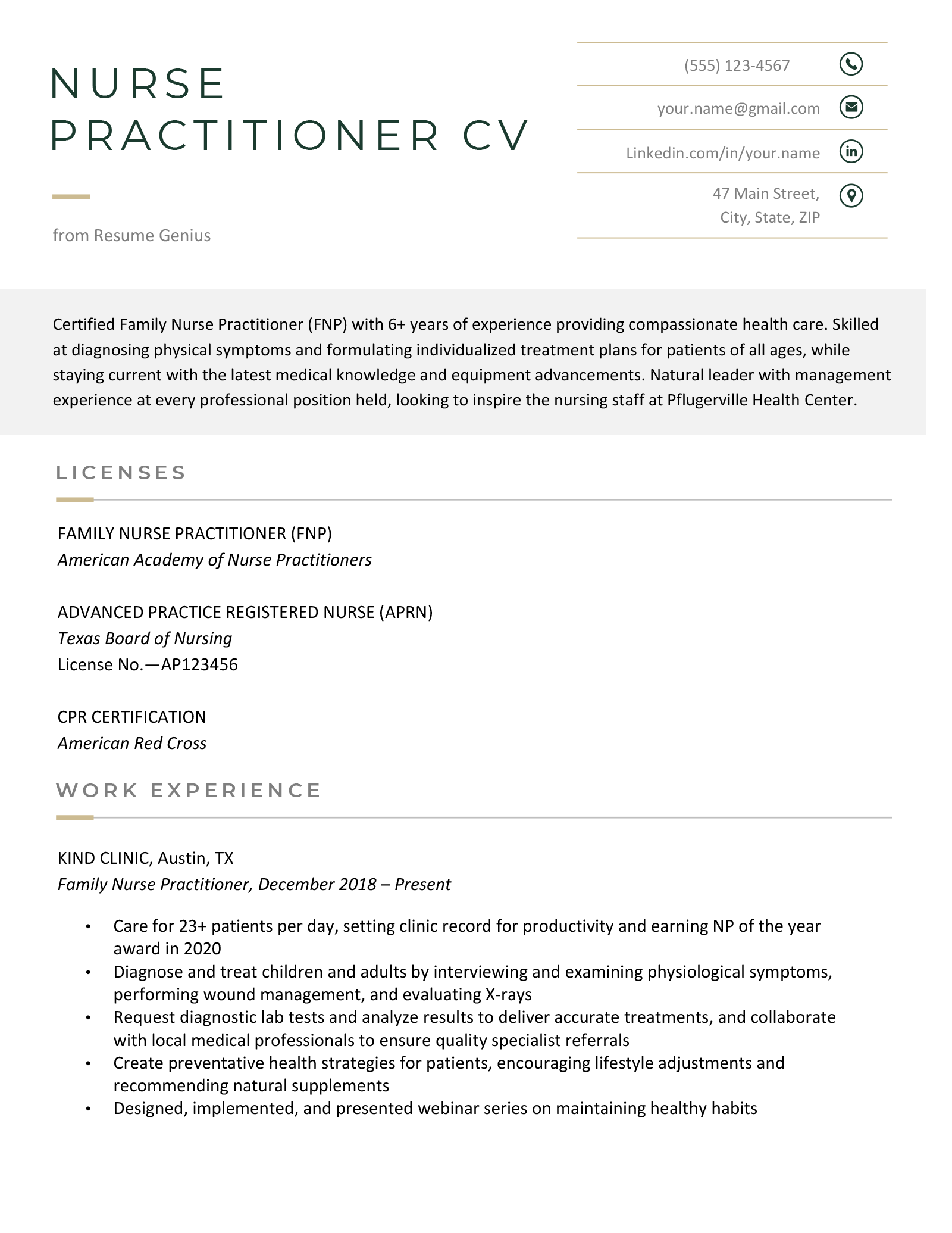 An example nurse practitioner CV