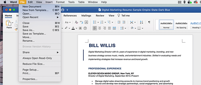 How to make a PDF resume in Word step 1: select 'File'