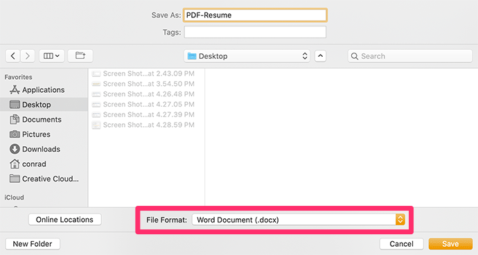 How to make a PDF resume in Word step 3: select 'File Format'