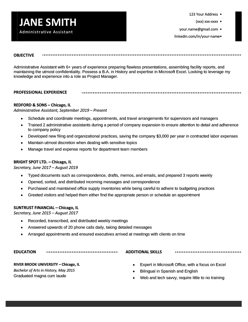 Professional CV Template Sample