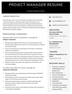 An example of a project manager resume