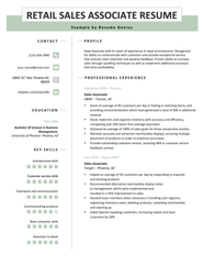 Chronological Resume Template Examples Format