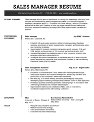 Professional Summary For Sales Resume